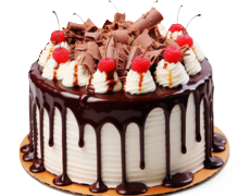 Nellai Santhi sweets bakery product image
