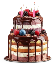 Nellai Santhi sweets bakery product image