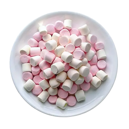 Nellai Santhi sweets savouries bakery product